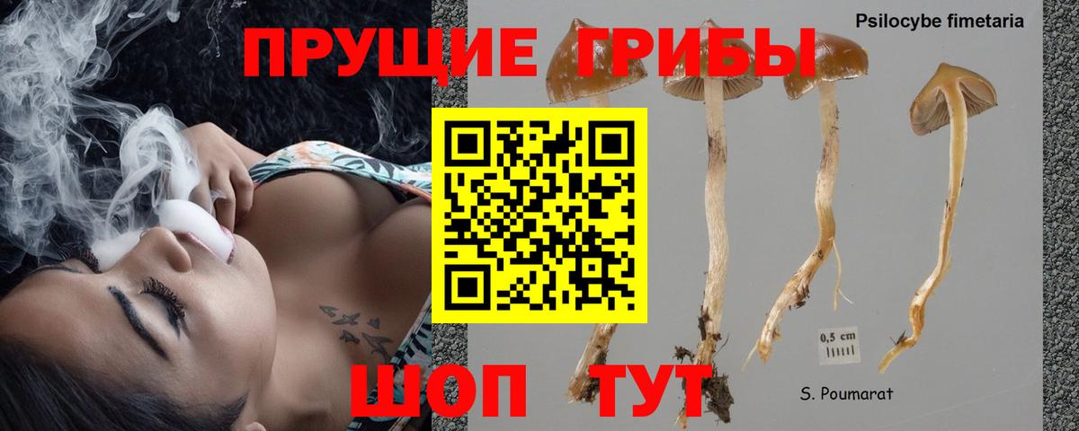 даркнет сайт  Вход с VPN  Моздок  Псилоцибиновые грибы GOLDEN TEACHER 